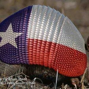 Meet your Posher, Raul